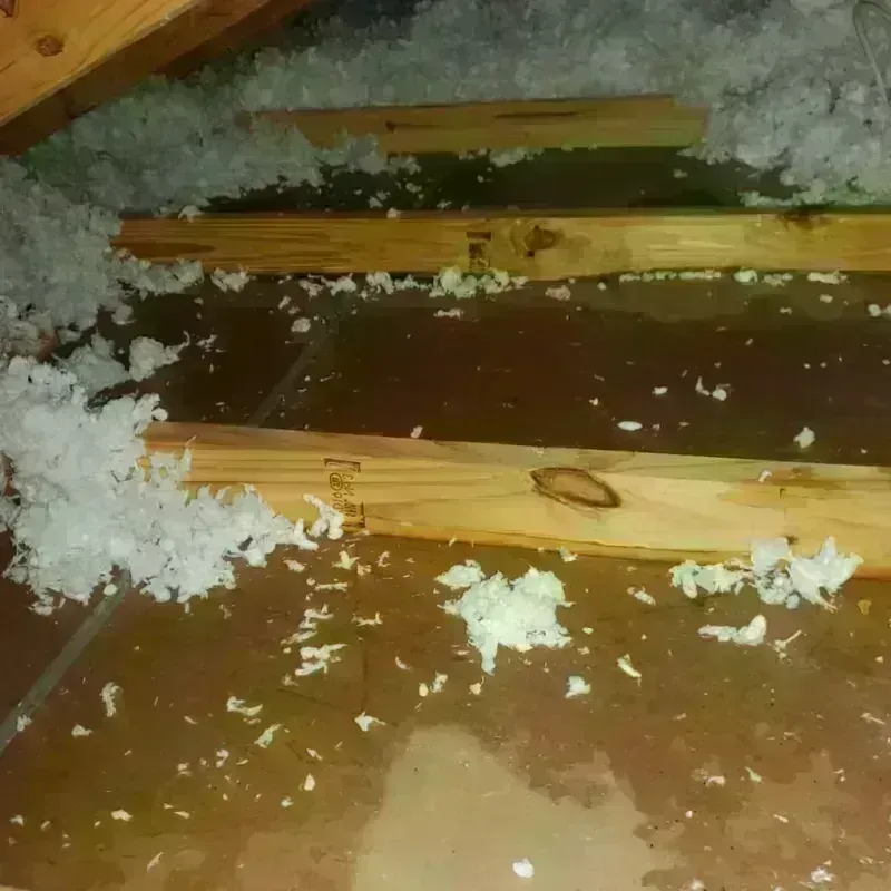 Attic Water Damage in Castanea, PA