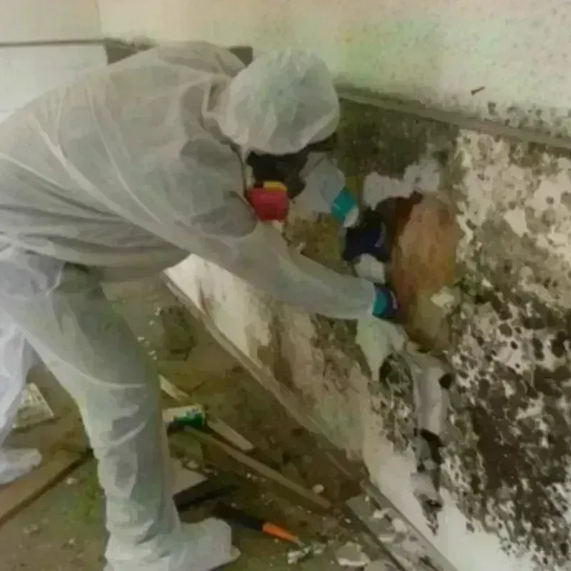 Mold Remediation and Removal in Castanea, PA